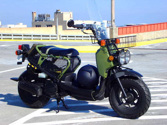 Savannah honda ruckus #3