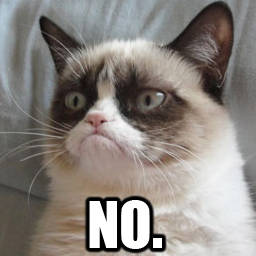grumpy-cat-no1.jpg