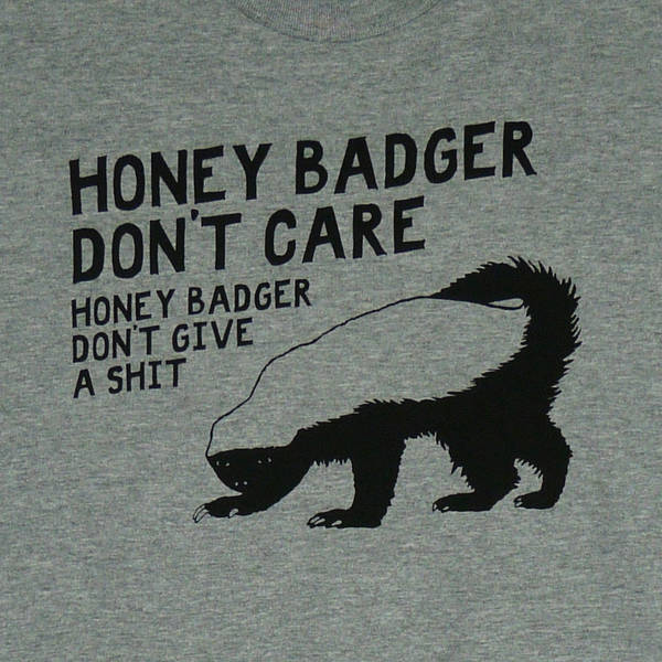 Vw badger jeep #4