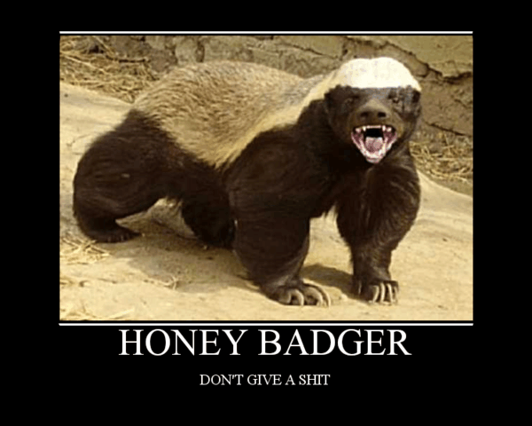 hot and sour sex video honey badger dont give a fuck