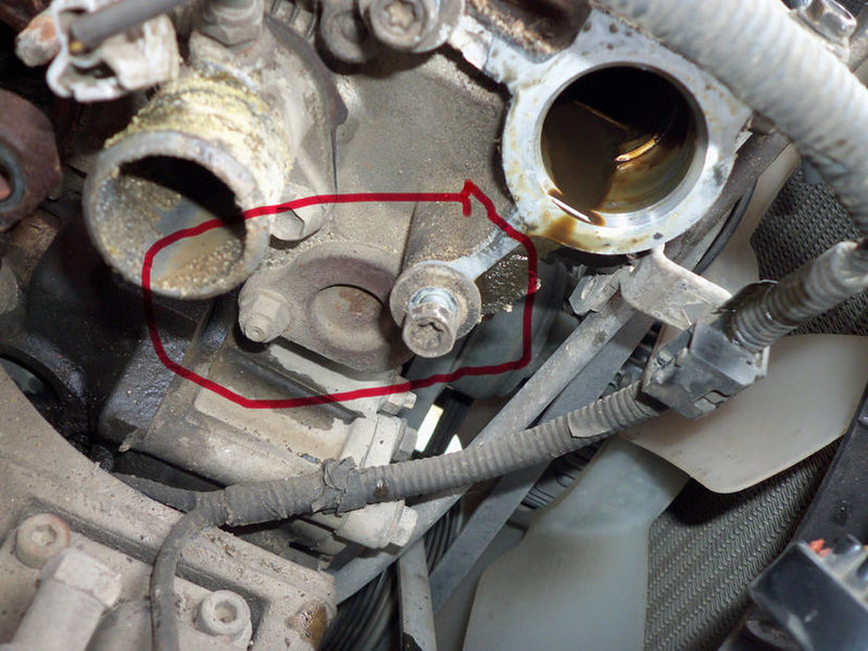 blown head gasket toyota tacoma #4
