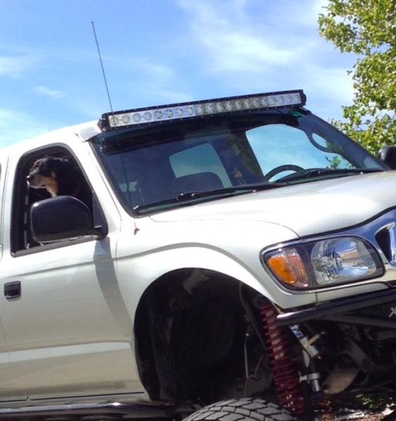2004 toyota tacoma prerunner parking light replacement #1