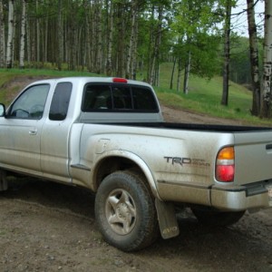 Main