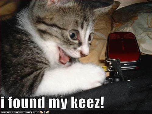 Found my keys!! (funny-pictures-kitten-found-keys.jpg) | Tacoma World