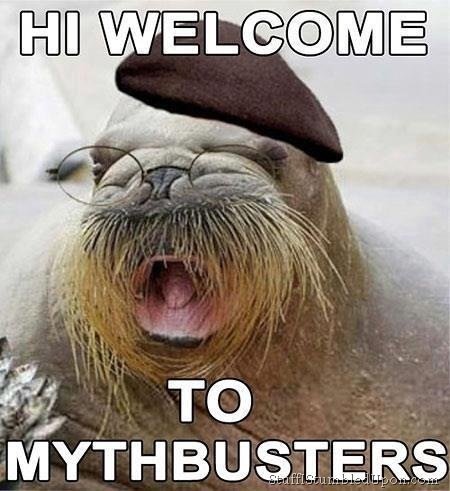 img-1442209-1-Mythbusters-meme-joke-funny-lol_thumb (img-1442209-1- Mythbusters-meme-joke-funny-lol_thumb.jpg) | Tacoma World