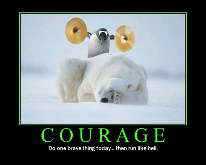Penguins-courage-sleeping-cymbals-motivational-posters-polar-bears-hd