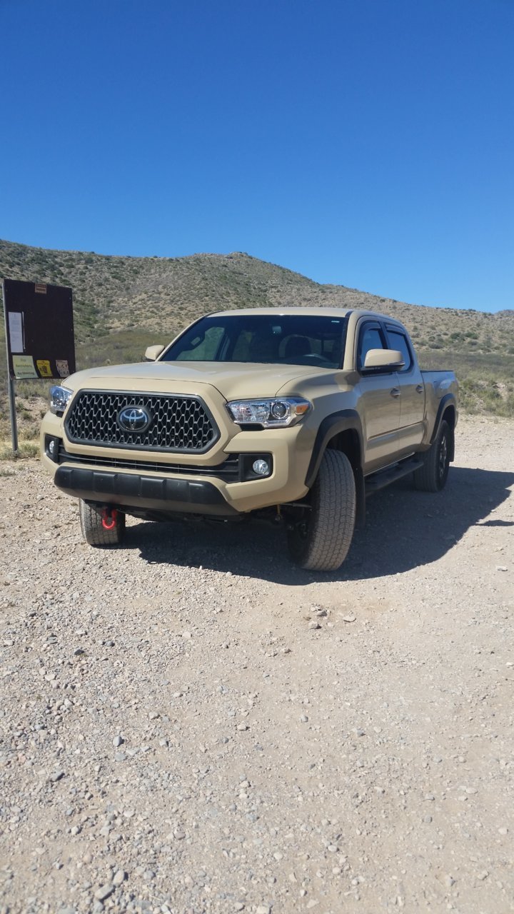 toy story tacoma