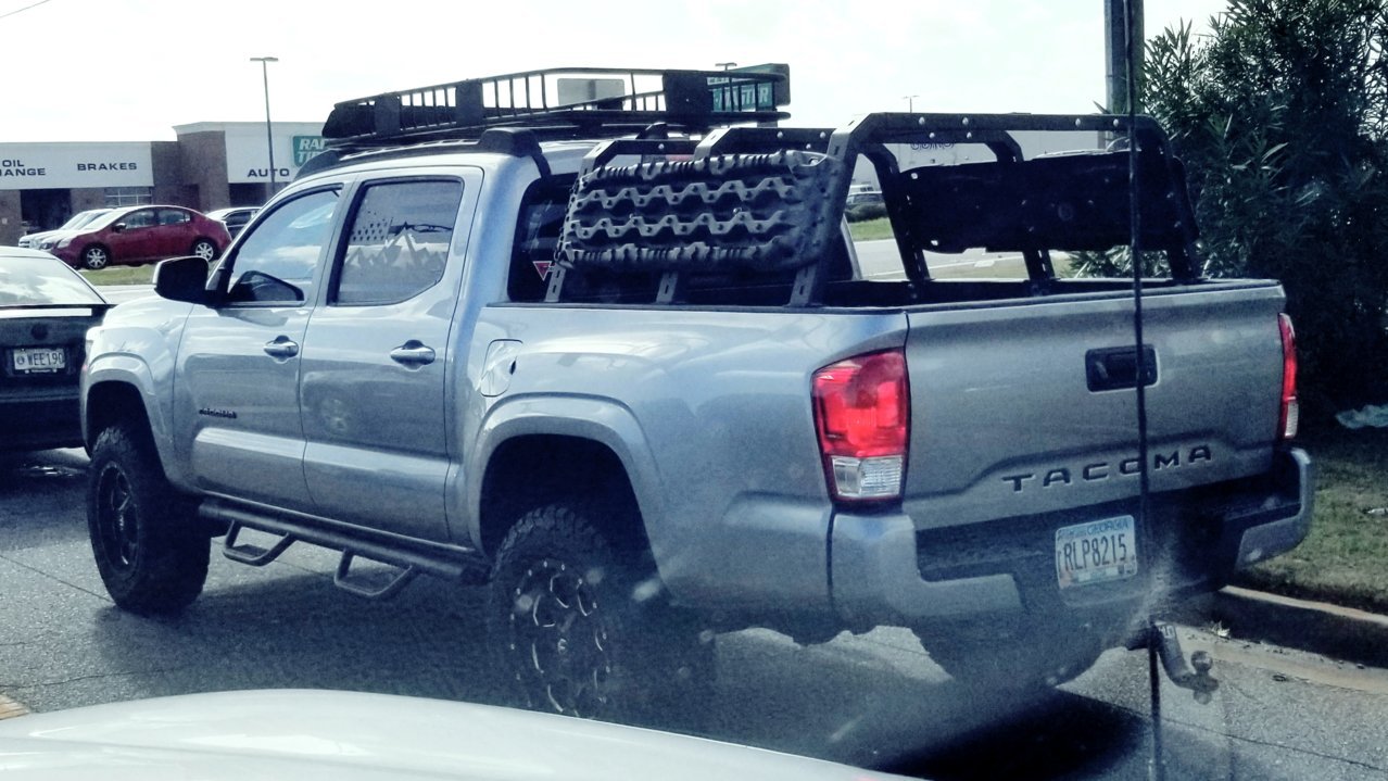 TW Spotted.jpg